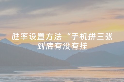 胜率设置方法“手机拼三张到底有没有挂（专用辅牌神器免安装）