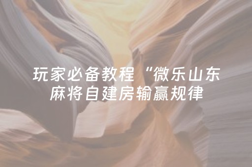 玩家必备教程“微乐山东麻将自建房输赢规律（专用辅牌神器免安装）