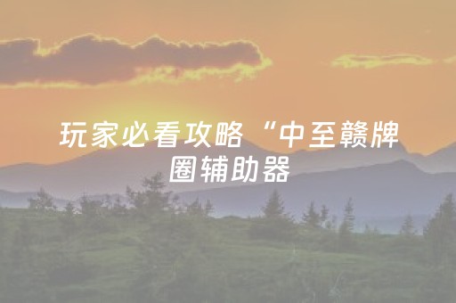 玩家必看攻略“中至赣牌圈辅助器（助赢神器通用版）