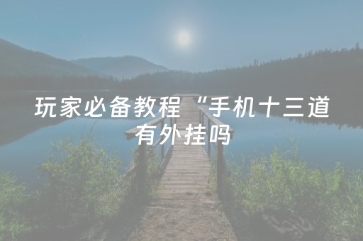 玩家必备教程“手机十三道有外挂吗（专用辅牌神器免安装）