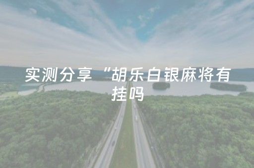 实测分享“胡乐白银麻将有挂吗（专用辅牌神器免安装）