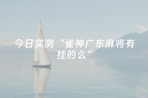 今日实测“雀神广东麻将有挂的么”（详细透视教程）-哔哩哔哩