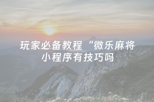 玩家必备教程“微乐麻将小程序有技巧吗（助赢神器通用版）