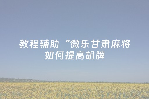 教程辅助“微乐甘肃麻将如何提高胡牌（专用辅牌神器免安装）