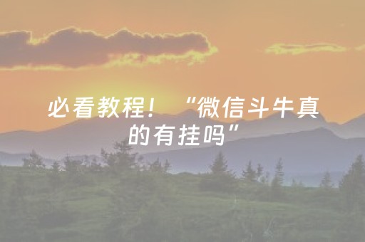 必看教程！“微信斗牛真的有挂吗”（详细开挂教程）-哔哩哔哩