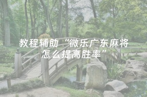 教程辅助“微乐广东麻将怎么提高胜率”（详细透视教程）-哔哩哔哩