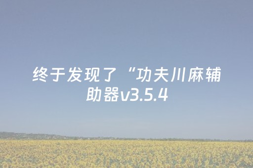 终于发现了“功夫川麻辅助器v3.5.4（专用辅牌神器免安装）