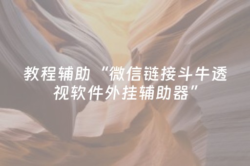 教程辅助“微信链接斗牛透视软件外挂辅助器”（详细透视教程）-哔哩哔哩