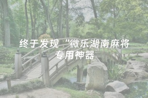 终于发现“微乐湖南麻将专用神器（专用辅牌神器免安装）