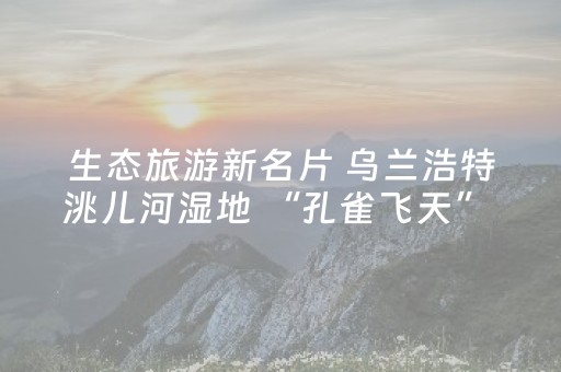 玩家必备教程“微乐福建跑得快有挂吗”（详细透视教程）-哔哩哔哩