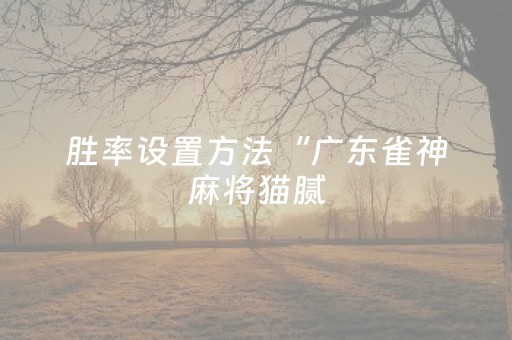 胜率设置方法“广东雀神麻将猫腻（专用辅牌神器免安装）