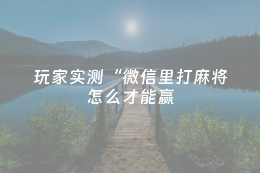 玩家实测“微信里打麻将怎么才能赢（助赢神器通用版）