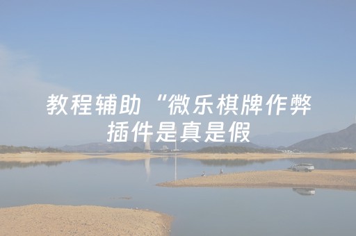 教程辅助“微乐棋牌作弊插件是真是假（助赢神器通用版）