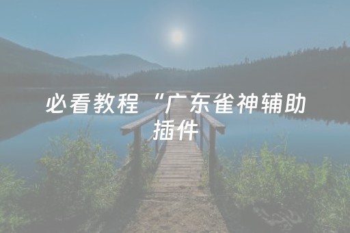 必看教程“广东雀神辅助插件（专用辅牌神器免安装）