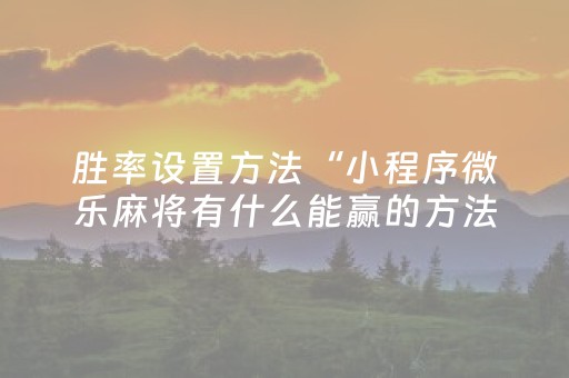 胜率设置方法“小程序微乐麻将有什么能赢的方法（专用辅牌神器免安装）