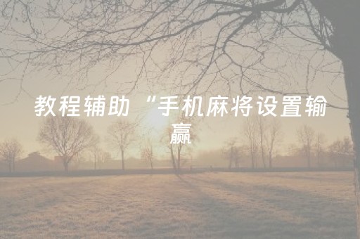 教程辅助“手机麻将设置输赢（专用辅牌神器免安装）