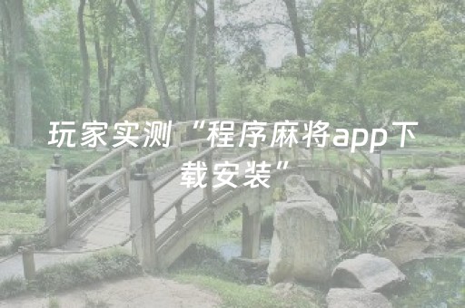 玩家实测“程序麻将app下载安装”（详细透视教程）-哔哩哔哩