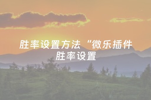 胜率设置方法“微乐插件胜率设置（专用辅牌神器免安装）