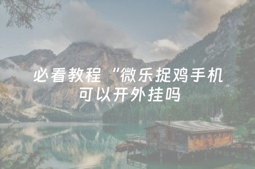 必看教程“微乐捉鸡手机可以开外挂吗（助赢神器通用版）