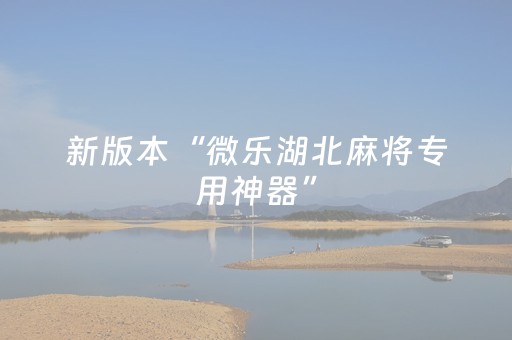 新版本“微乐湖北麻将专用神器”（详细透视教程）-哔哩哔哩
