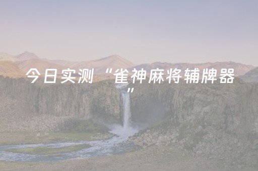 今日实测“雀神麻将辅牌器”（详细透视教程）-哔哩哔哩