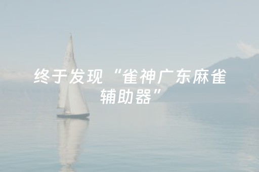 终于发现“雀神广东麻雀辅助器”（详细透视教程）-哔哩哔哩