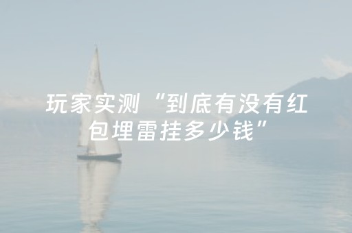 玩家实测“到底有没有红包埋雷挂多少钱”（详细透视教程）-哔哩哔哩