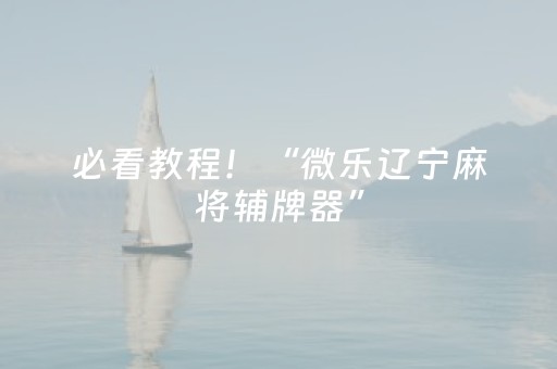 必看教程！“微乐辽宁麻将辅牌器”（详细开挂教程）-哔哩哔哩