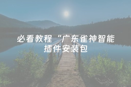 必看教程“广东雀神智能插件安装包（专用辅牌神器免安装）
