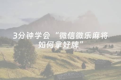3分钟学会“微信微乐麻将如何拿好牌”（详细透视教程）-哔哩哔哩
