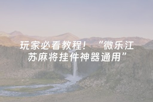 玩家必看教程！“微乐江苏麻将挂件神器通用”（详细辅助教程）-哔哩哔哩