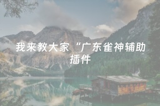 我来教大家“广东雀神辅助插件（助赢神器通用版）