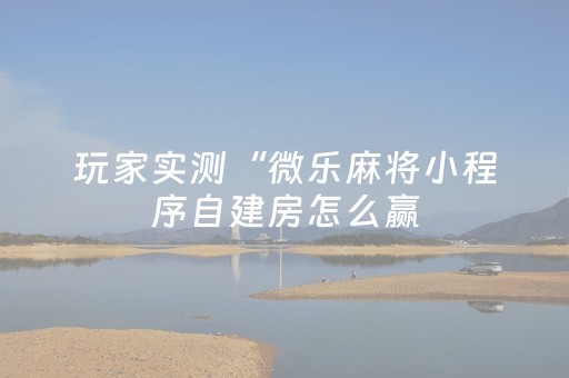 玩家实测“微乐麻将小程序自建房怎么赢（专用辅牌神器免安装）