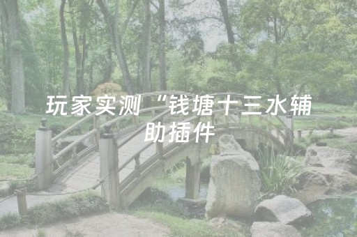 玩家实测“钱塘十三水辅助插件（专用辅牌神器免安装）