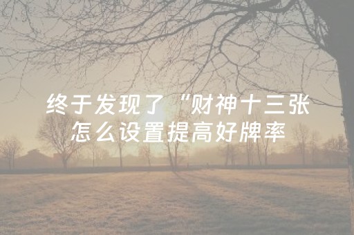 终于发现了“财神十三张怎么设置提高好牌率（助赢神器通用版）