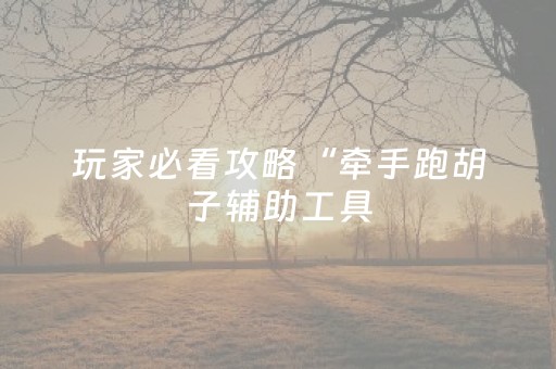 玩家必看攻略“牵手跑胡子辅助工具（助赢神器通用版）