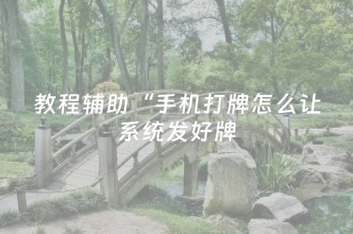 教程辅助“手机打牌怎么让系统发好牌（专用辅牌神器免安装）