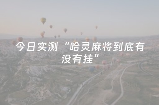 今日实测“哈灵麻将到底有没有挂”（详细辅助教程）-哔哩哔哩