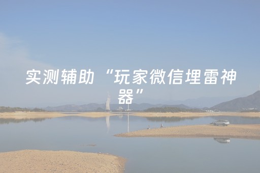 实测辅助“玩家微信埋雷神器”（详细透视教程）-哔哩哔哩