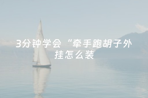 3分钟学会“牵手跑胡子外挂怎么装（专用辅牌神器免安装）
