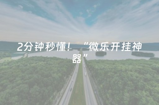 2分钟秒懂！“微乐开挂神器”（详细辅助教程）-哔哩哔哩
