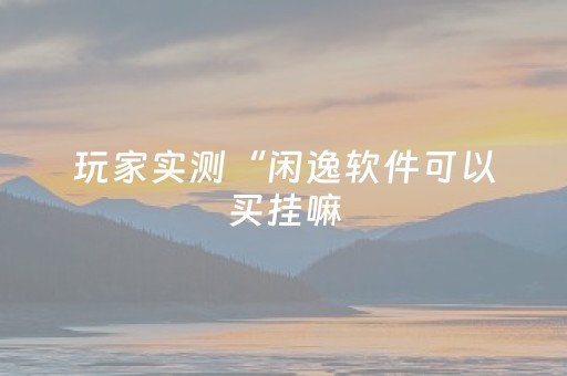 玩家实测“闲逸软件可以买挂嘛（专用辅牌神器免安装）