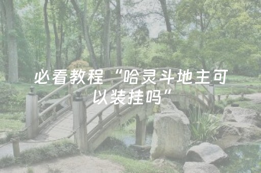 必看教程“哈灵斗地主可以装挂吗”（详细透视教程）-哔哩哔哩