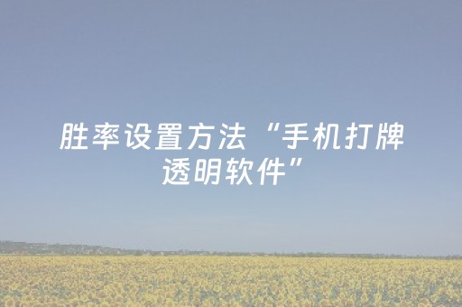 胜率设置方法“手机打牌透明软件”（详细透视教程）-哔哩哔哩