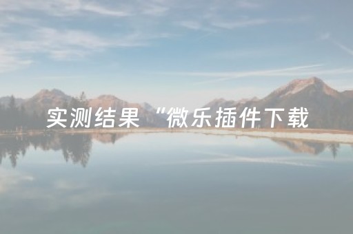 实测结果“微乐插件下载（专用辅牌神器免安装）