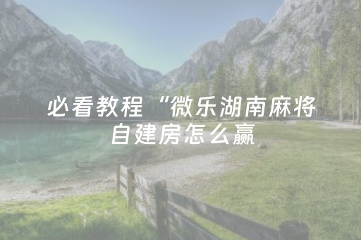 必看教程“微乐湖南麻将自建房怎么赢（专用辅牌神器免安装）