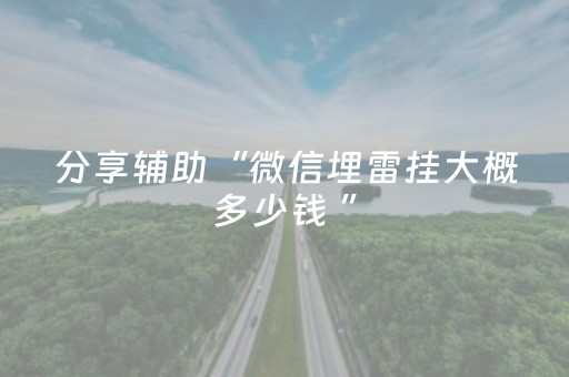 分享辅助“微信埋雷挂大概多少钱 ”（详细透视教程）-哔哩哔哩