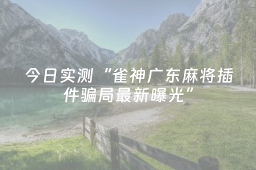 今日实测“雀神广东麻将插件骗局最新曝光”（详细开挂教程）-哔哩哔哩