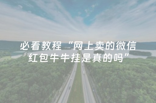 必看教程“网上卖的微信红包牛牛挂是真的吗”（详细透视教程）-哔哩哔哩