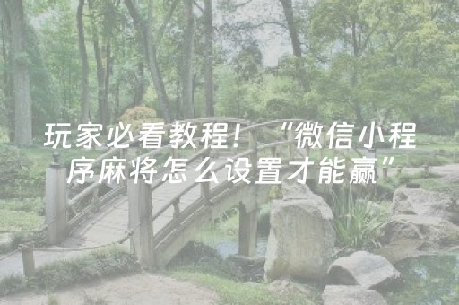 玩家必看教程！“微信小程序麻将怎么设置才能赢”（详细开挂教程）-哔哩哔哩